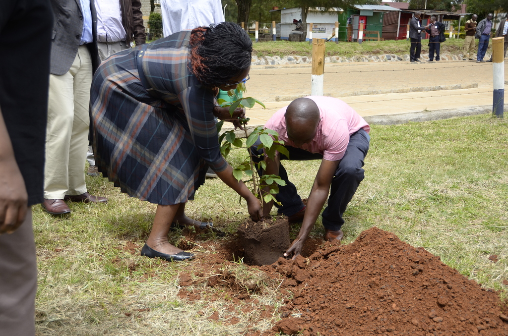 National Tree Planting Day - May 10th, 2024 | University of Eldoret