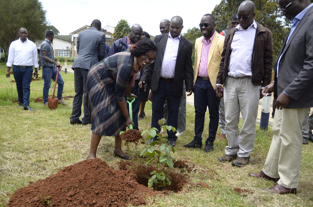 National Tree Planting Day - May 10th, 2024 | University of Eldoret
